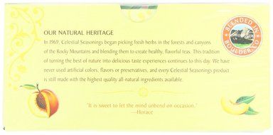 Celestial Seasonings Bengal Spice Herbal Tea, 20 Count (Pack of 6) N132