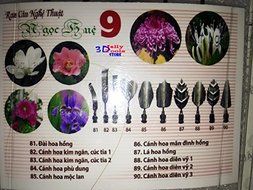 3d Gelatin Art Tools - Type 9 - 3d Jelly Cake Tools - 10 Pcs/set N3