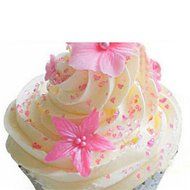 Cupcake Liner Baking Paper Cups Muffin Cases Cake Box Tray Mold Decorating Tools N3