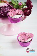 Silicone Baking Cups Baking Set of 12 in 6 Colors and a Heart Shaped Cookie Cutter N8