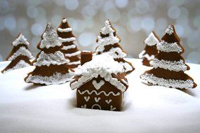 Mini Gingerbread House Cutter N2