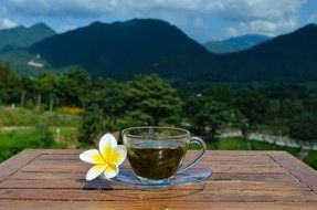 Jiaogulan Tea (Gynostemma Pentaphyllum) by Majestic Herbs | Organic Best Quality Pure Loose Leaf "Herb of Immortality... N4