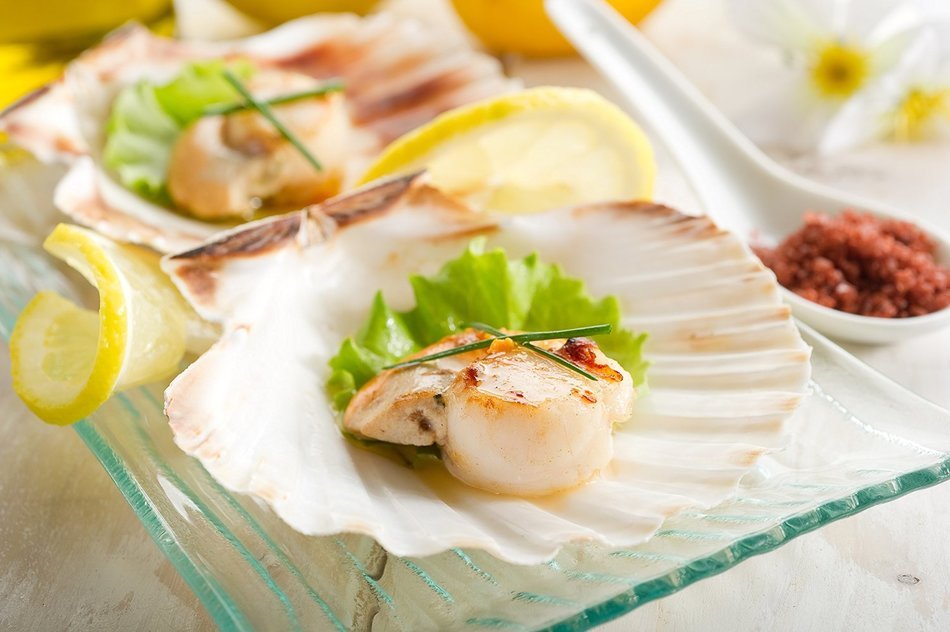 Harold Import Company Natural Baking Shells (Set of 4), 4", Natural Seashell N3