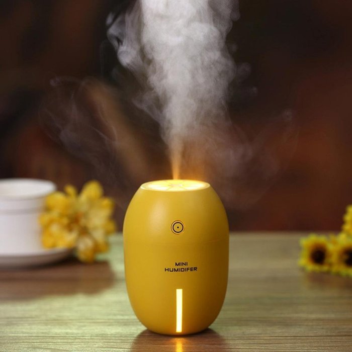 Humidifier, Portable USB Humidifier, Air Purifier, Steam Diffuser Mist Office Room (Orange) N5