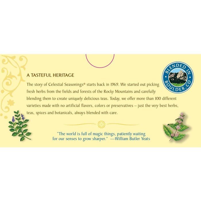 Celestial Seasonings Bengal Spice Herbal Tea, 20 Count (Pack of 6) N89