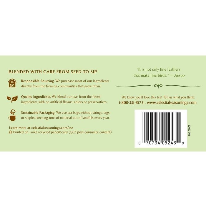 Celestial Seasonings Bengal Spice Herbal Tea, 20 Count (Pack of 6) N98