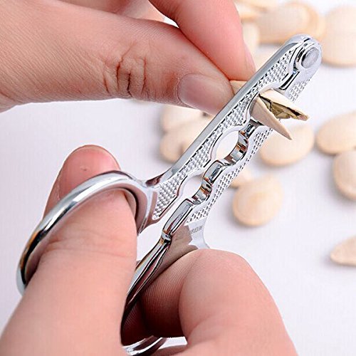 Bargain World Stainless Steel Melon Seed Pliers Sunflower Seed Nut Pliers Scissor