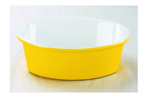 Oval Grantin Ceramic Bake Ware (10in, orange) N4