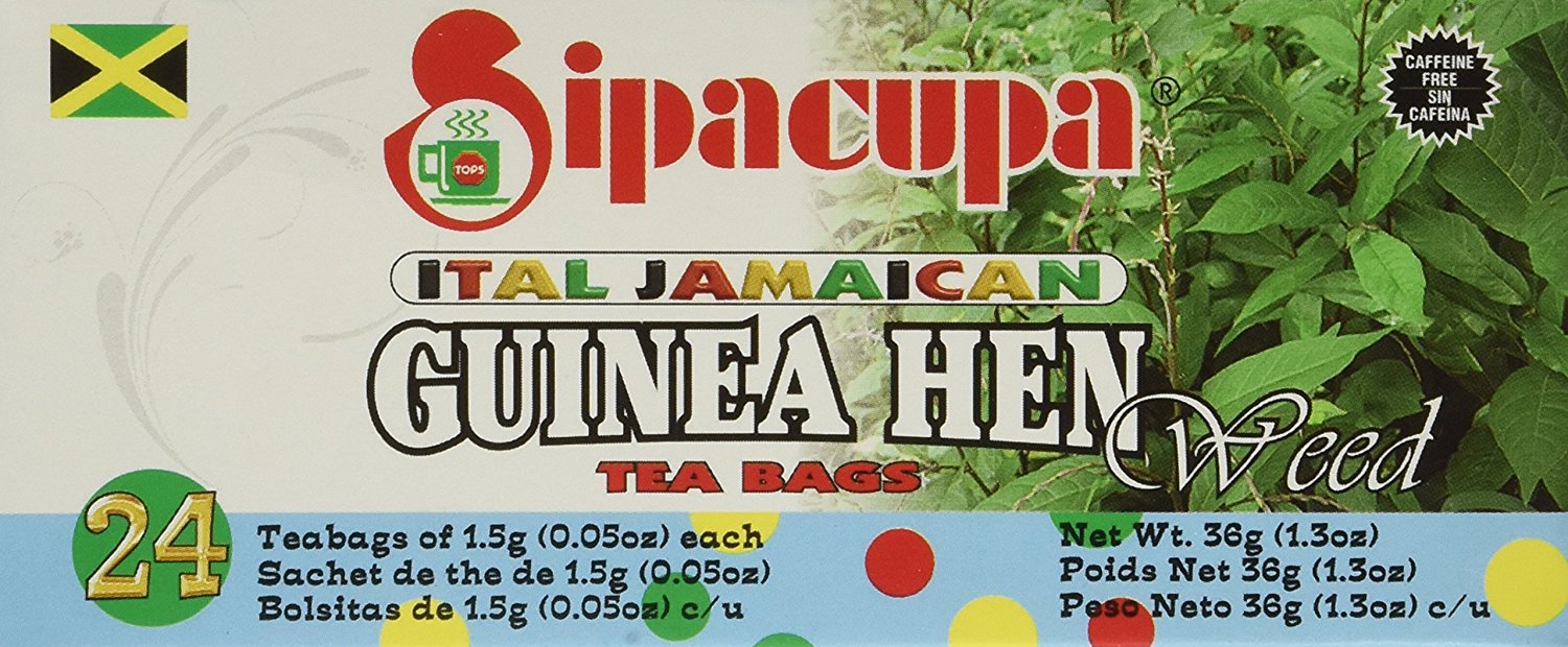 Jamaican guinea hen tea benefits