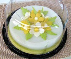 15 PACKS Konnyaku Crystal Jelly Powder - from JIM WILLIE SINGAPORE N3