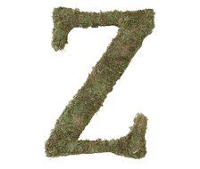Lillian Rose Moss Letter for Home Decor, 15-Inch, Monogrammed Z