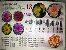 3d Gelatin Art Tools - Type 13 - 3d Jelly Cake Tools - 10 Pcs/set N3