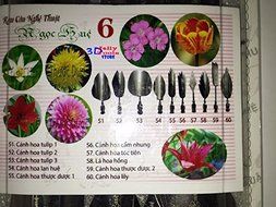 3D Jelly Tools Starter Kit - Type 6 - 3D Gelatin Art Tools - 10 pcs/set N3