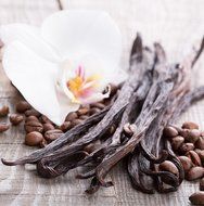 GOURMET PUMPKIN SPICE Flavored Ground Coffee | 1 LB Bag | Freshly Roasted Holiday Blend | 100% Colombian Arabica N21