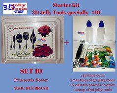 Starter Kit 3D Jelly Tools specially Type 10 - Poinsettia flower
