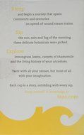 Tazo Herbal Infusion Tea-Calm Chamomile (Decaf), 20 Filter Bags N2