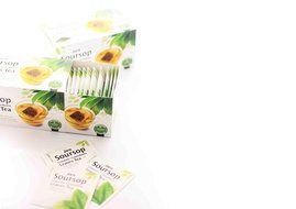Jans 100% All Natural Soursop Graviola / Guanabana Leaves Tea (25 tea bags) N3