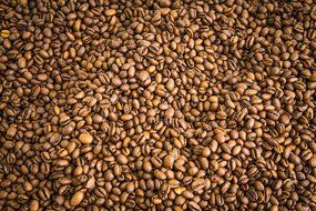 Rising-Sun Roasted Whole Coffee Beans, Brazil Peaberry N3