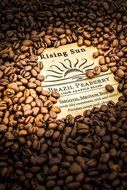 Rising-Sun Roasted Whole Coffee Beans, Brazil Peaberry N7