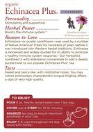 Traditional Medicinals Seasonal Tea Sampler Variety Pack, 16 Tea Bags N33