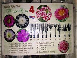 3D Jelly Cake Tools - Type 4 and 3 Bottle 3D Jelly Tools not include needle N3