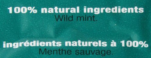 Stash Tea Super Mint Herbal Tea, 100 Count N10
