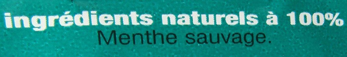 Stash Tea Super Mint Herbal Tea, 100 Count N13