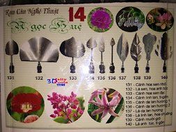 3D Jelly Cake Tools - Type 14 and 3 Bottle 3D Jelly Tools not include needle N3