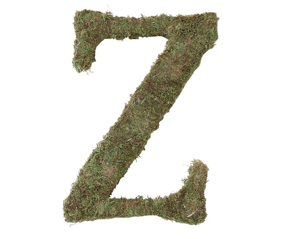 Lillian Rose Moss Letter for Home Decor, 15-Inch, Monogrammed Z