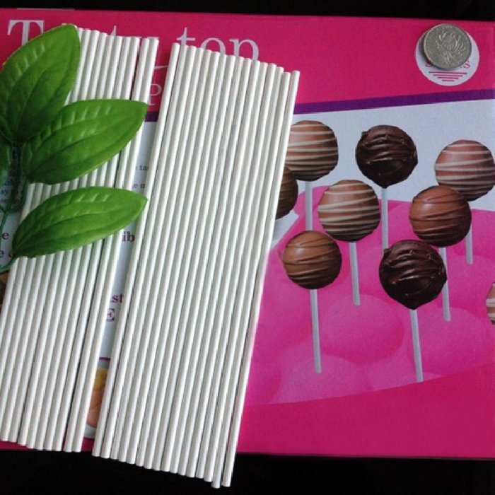 DUFUSTORE Baking Tray Stick Party Cake Cookie Chocolate Lollipop Pop Mold Tools White N3