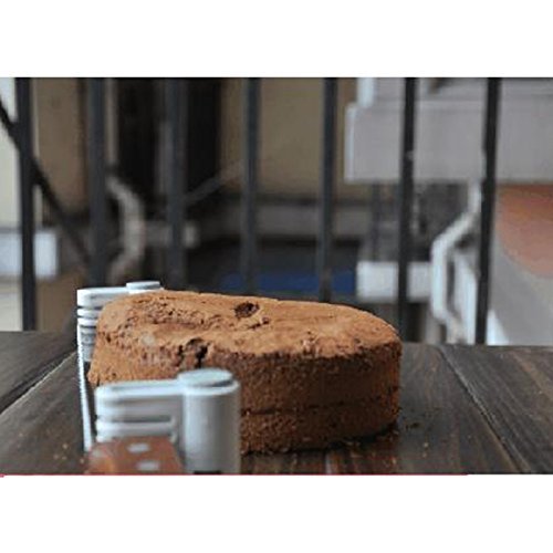 Great Value Practical Stainless Steel Spring Designed Plastic Cake Slicer without Knife Green N2