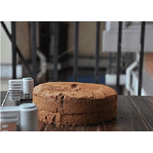 Great Value Practical Stainless Steel Spring Designed Plastic Cake Slicer without Knife Green N3
