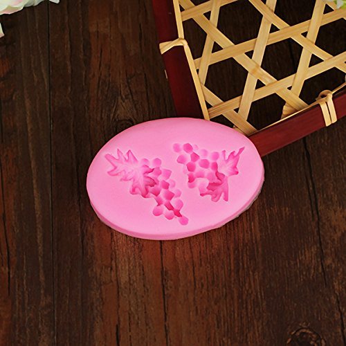 "Grape Shapes Fondant Mould Silicone Sugar Craft Cake Decorating DIY Mold" shopping N5