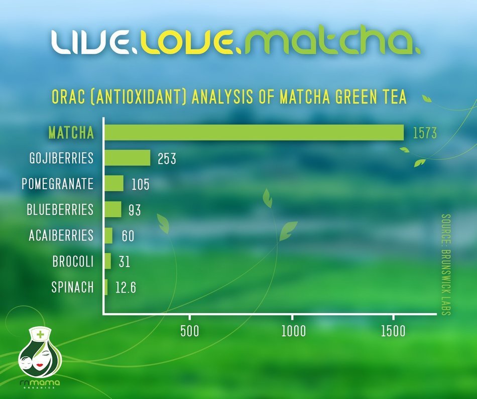 Matcha Green Tea Powder Organic 100% USDA - Premium Culinary Grade - 100gms (3.5oz) - Lattes, Smoothies N4