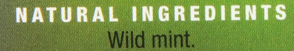 Stash Tea Super Mint Herbal Tea, 100 Count N7