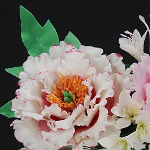 SORCO 4 Pcs Peony Flower Petal Fondant Sugar craft Cake Cookie Cutter Decorating Compression Mould N2