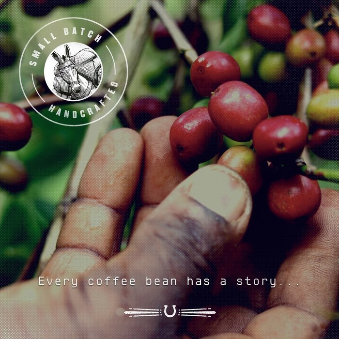 MULE Artisan Coffee - Condor Andino Medium Roast Colombian Coffee Beans | Farm to Cup, Small batch, Handcrafted... N6