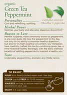 Traditional Medicinals Organic Green Tea Ginger Tea, 16 Tea Bags (Pack of 6) N11