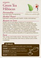 Traditional Medicinals Organic Green Tea Ginger Tea, 16 Tea Bags (Pack of 6) N19