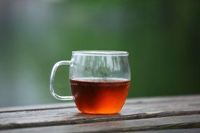 Organic Hibiscus Mint Tea, Wild Tea #3, Premium Herbal Loose Leaf Tea (2 ounce) N4