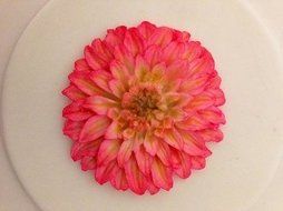 Dahlia Silicone Mold N3