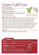 Traditional Medicinals Gypsy Cold Care Herbal Wrapped Tea Bags, 16 ct N3