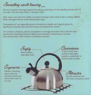 Stainless Steel Whistling Tea Kettle - 2.5 Liter