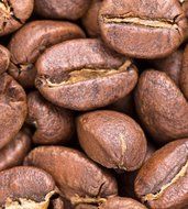 Bean Box Gourmet Coffee Sampler - (fresh roasted coffee gift box, specialty whole bean, 4 handpicked roasts, personalized... N8