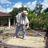 2LB Pablo's Pride Gourmet Coffee - Guatemala - Medium-dark Roast Coffee - Whole Bean Coffee - 2 Pound ( 2 lb )... N4