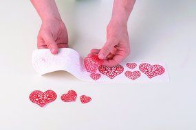 Silikomart Silicone Wonder Cakes Collection Sugar Lace Mats for Cake Decoration, Birds N27
