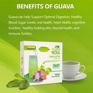 Guava Leaf Tea 120 Individually Wrapped Teabags N7
