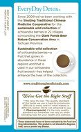 Traditional Medicinals EveryDay Detox Tea, 16 Tea Bags (Pack of 6) N4