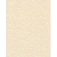 Set of 5 Sheets Natural Parchment Paper 8 1/2&quot;X11&quot;