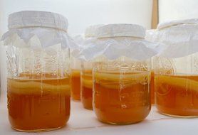 Kombucha Scoby w Instructional Video &amp; Unlimited Support. 100% Organic Strong Starter Tea for Brewing Best Fermented...